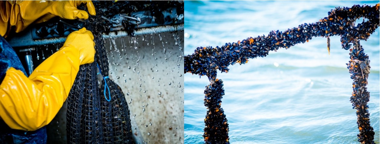 Housing activation and safe sites